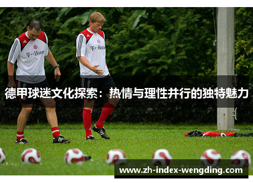 德甲球迷文化探索：热情与理性并行的独特魅力